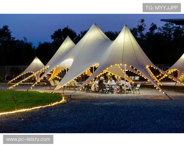 夜间体育消费活力显著,配套娱乐休闲业态同步受益。